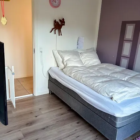 Modern Spacious Family Retreat Garden Odense